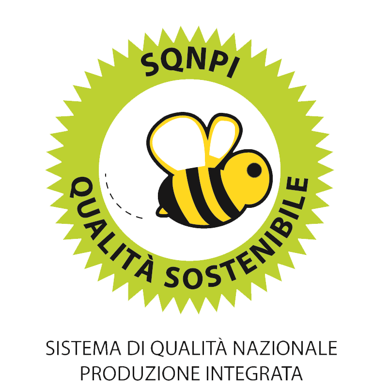 LOGO SQNPI